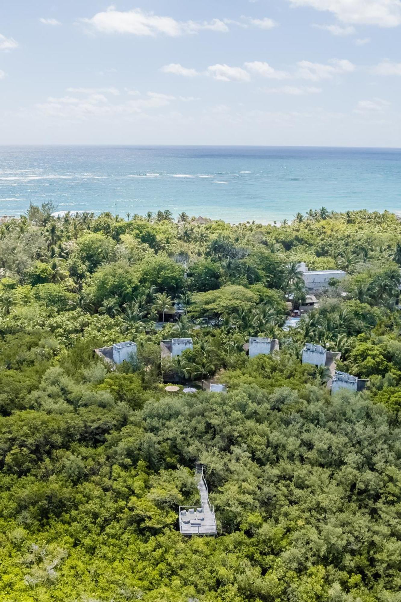Villa Vida Silvestre à Tulum Extérieur photo